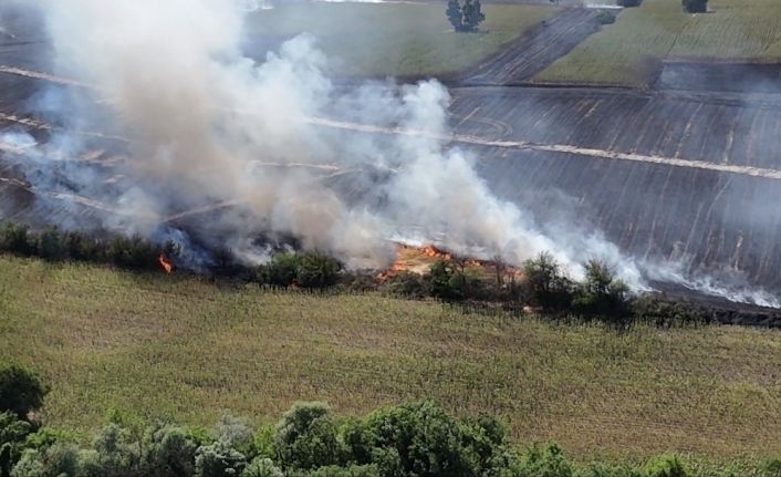 Kırklareli’de ağaçlık alana sıçraya anız yangını havadan ve karadan müdahaleyle söndürüldü