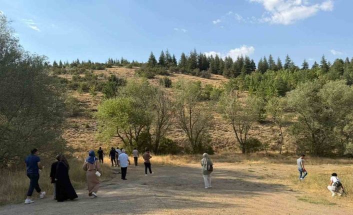 Kırşehir’de orman yangınına önlem: Doğadan 150 kilogram atık toplandı