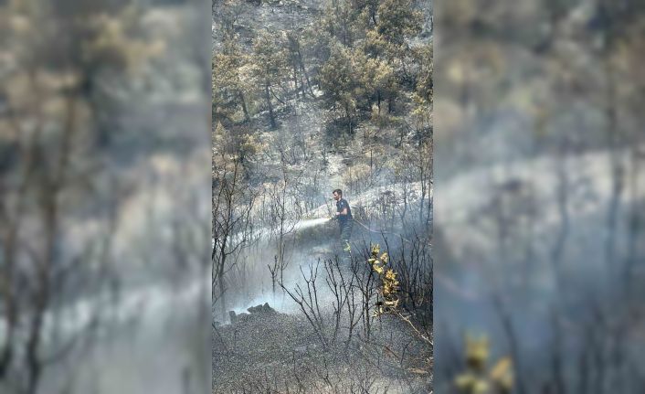 Kocaeli itfaiyesinden Bursa’ya destek