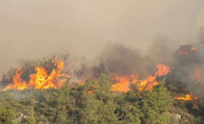 Kocaeli itfaiyesinden Sakarya’ya destek