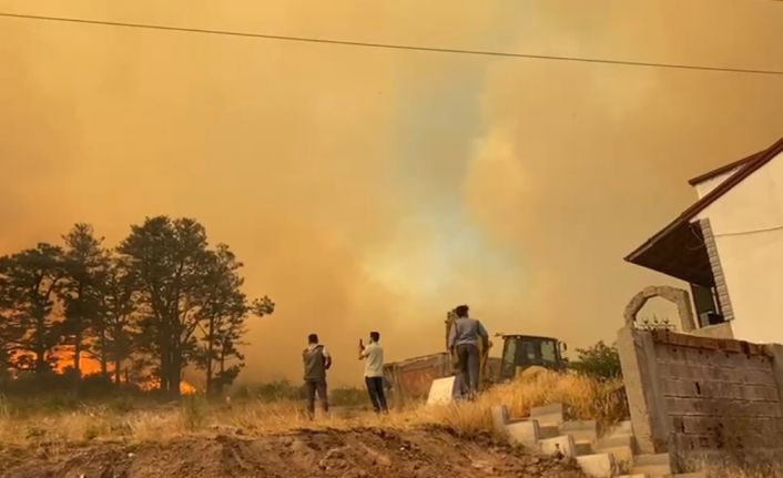 Kocaeli’de çıkan orman yangını büyüyor