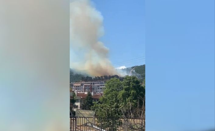 Kocaeli’de orman yangını çıktı