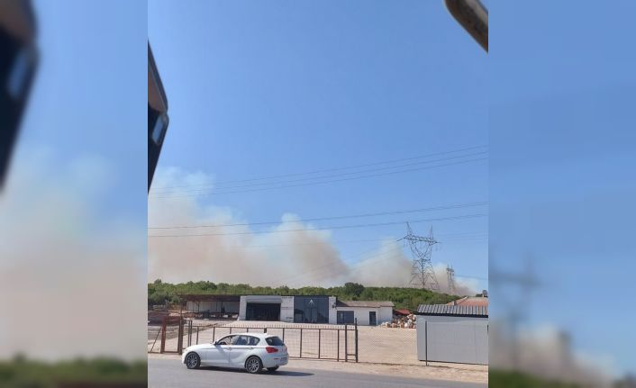 Kocaeli’de ormanlık alanda yangın çıktı