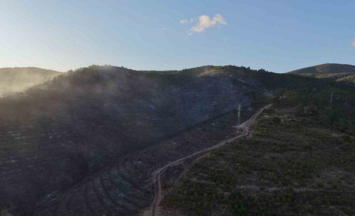 Kocaeli’deki orman yangını söndürüldü
