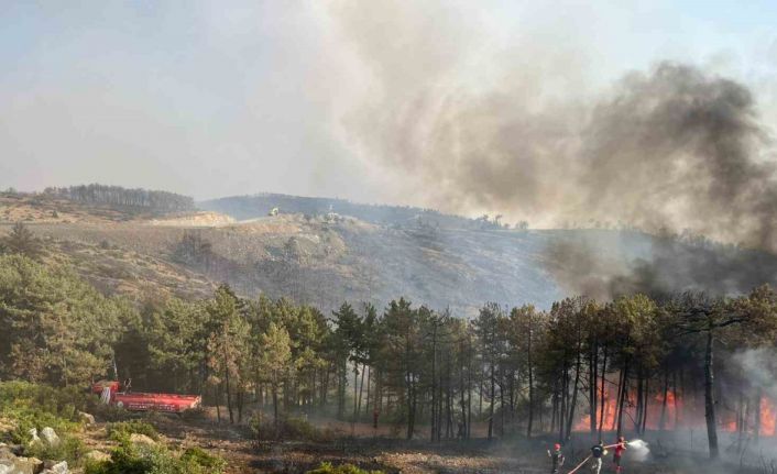 Kocaeli’den Bursa’daki orman yangınına söndürme desteği