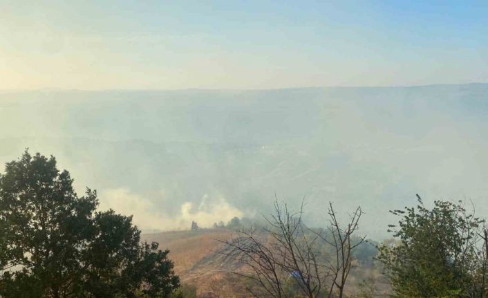 Kocaeli’nin farklı noktalarında aynı anda çıkan yangınlara müdahale sürüyor