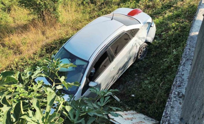 Kontrolden çıkan otomobil tarlaya uçtu 1 kişi yaralandı