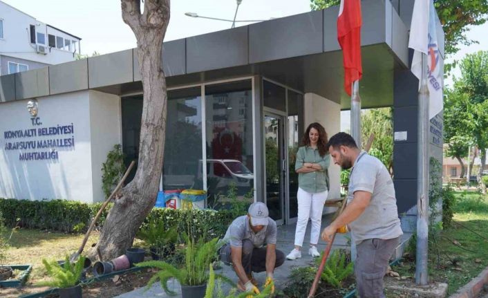 Konyaaltı’nda muhtarlık binaları çiçeklendiriliyor