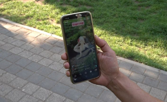 Köpeklerin dövüştürüldüğü video tepki topladı