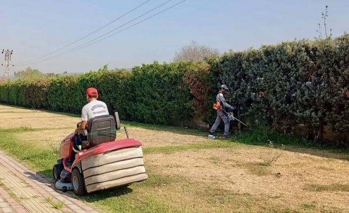 Körfez’de yeşil alanlarda bakım ve çim biçme çalışması