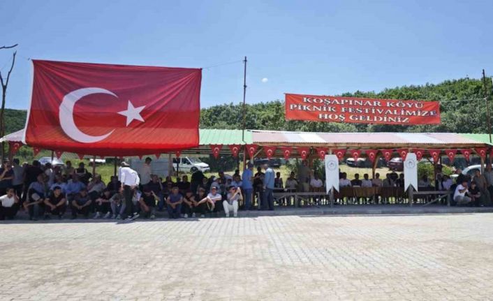 Koşapınar’da festival coşkusu