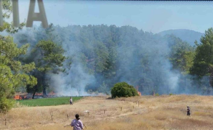 Köyceğiz’de ot yangını
