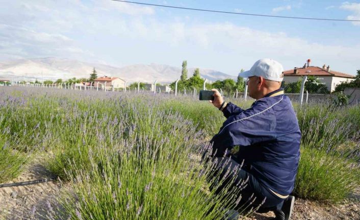 Köyde ’lavanta bahçesi’ turizmi