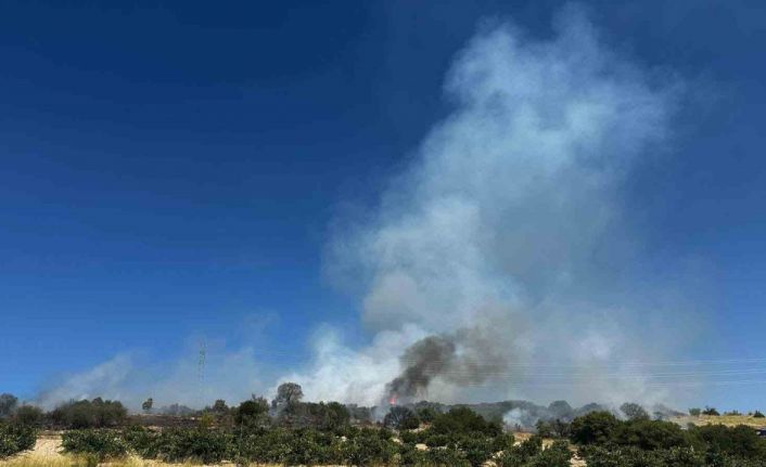 Köylüler alevlere set oldu