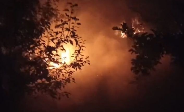 Kozan’da bahçe yangını ormana sıçramadan söndürüldü