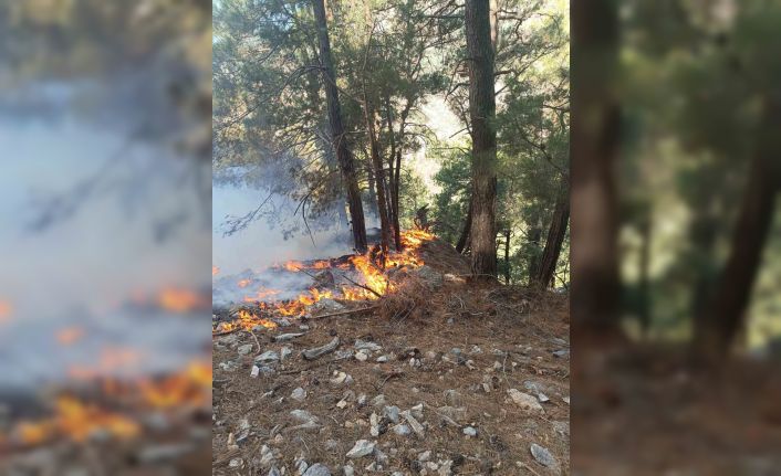 Kozan’da ormanlık alanda yangın çıktı