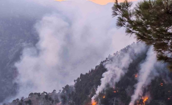 Kozan’daki orman yangını kısmen kontrol altında