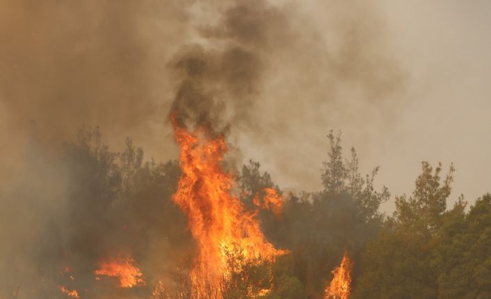 Kula’da orman yangınına müdahale sürüyor