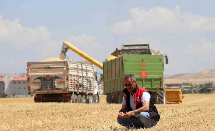 Kuraklık Vanlı çiftçileri vurdu