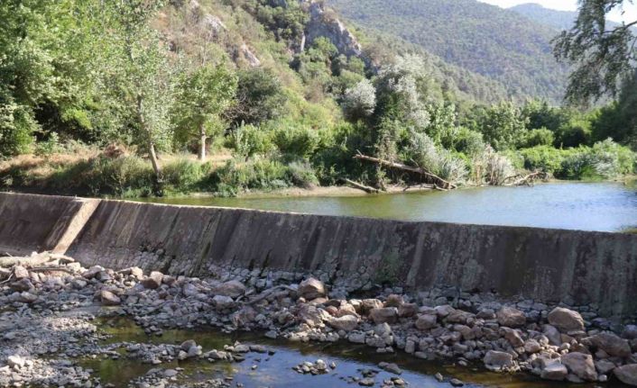 Kuraklık ve orman yangınları Düzmeşe Benti’nin adeta kuruttu