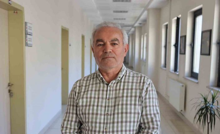 Küresel ısınma, sıcaklık ve rutubet, kene popülasyonunu artırdı