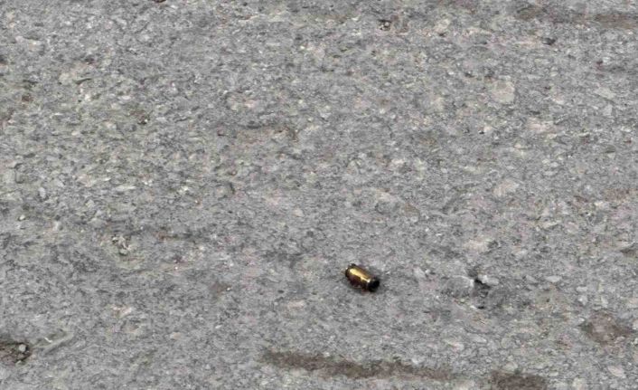 Kurusıkı tabancayla atış yapan şahıslar göz altına alındı