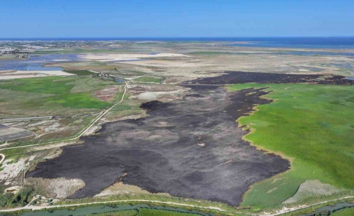 Kuş cenneti Göksu Deltası yangın sonrası havadan görüntülendi