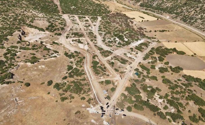 Kütahya Valisi Musa Işın: "Sahipsiz hayvanların sorumluluğu artık valiliklerde"