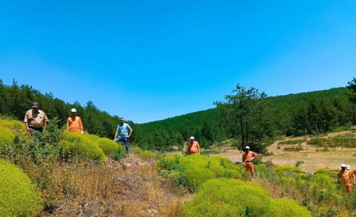 Kütahya’da 34 hükümlü ormanlara katkı sunacak