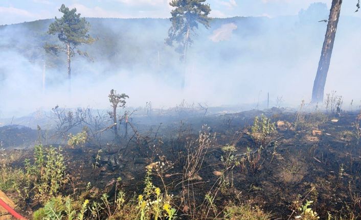Kütahya’da gençleştirme sahasında çıkan orman yangını söndürüldü