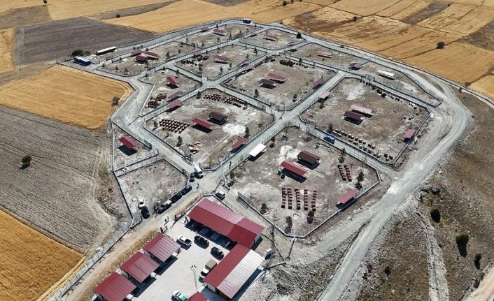 Kütahya’da sahipsiz sokak hayvanlarına doğal yaşam alanı