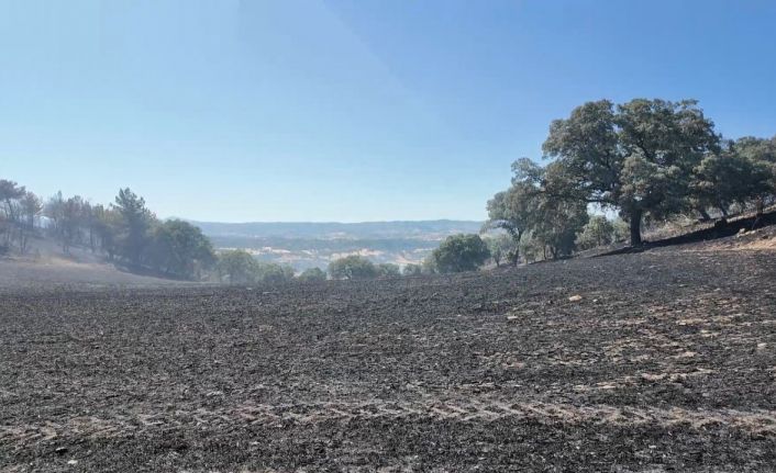 Kütahya’daki orman yangını kontrol altına alındı