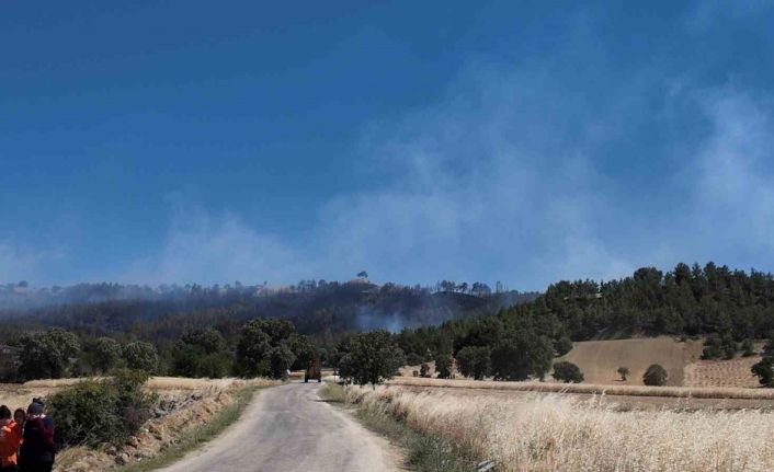 Kütahya’daki orman yangınınnı söndürme çalışmaları devam ediyor
