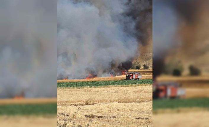 Kütahya’daki tarla yangınında yaklaşık 800 dekarlık hububat ekili alan kül oldu