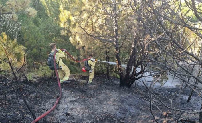 Kütahyalı öğrenciler yangınlarla mücadelede görev başında