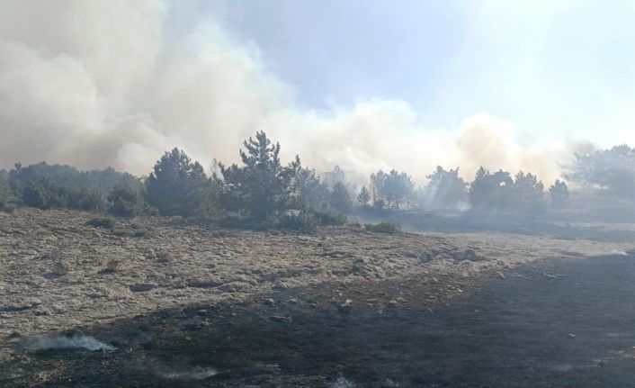 Kütahya’nın Sofça köyü yakınlarındaki orman yangını korkuttu
