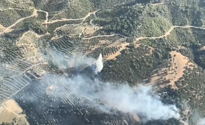 Kuyucak’ta zirai alan ve makilik yangını