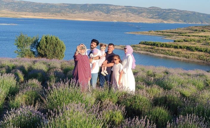 Lavanta bahçeleri fotoğraf platolarına dönüştü