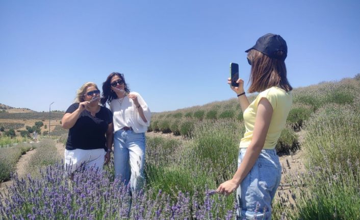 Lavanta tarlalarının mor manzarası eşliğindeki geziye yoğun ilgi