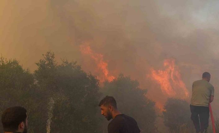 Mahallede çıkan yangın paniğe neden oldu: Vatandaşlar ve itfaiye alevlere karşı mücadele etti