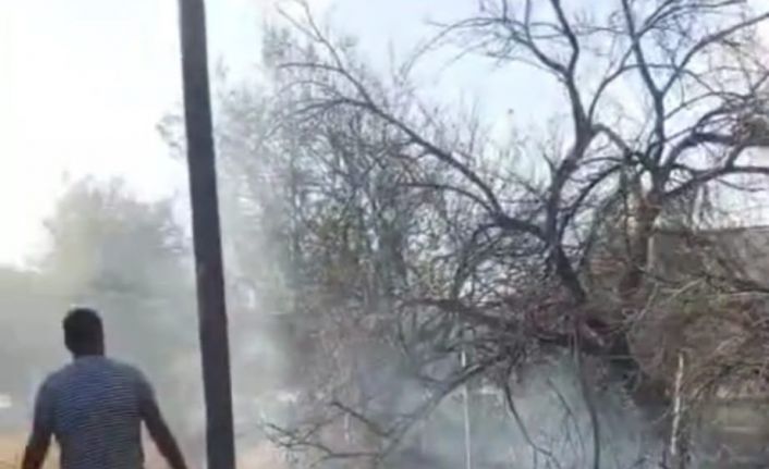 Malatya’da bahçe yangını