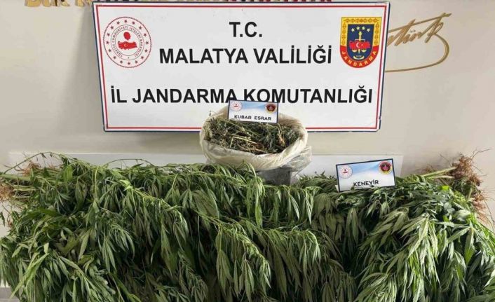 Malatya’da jandarmadan uyuşturucu operasyonu