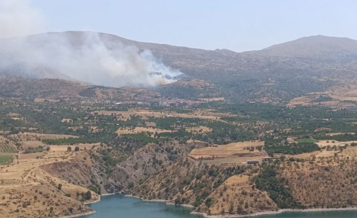 Malatya’da orman yangınına havadan müdahale