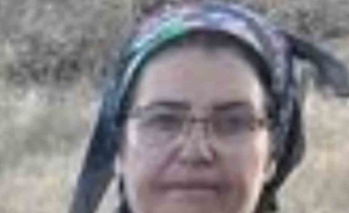 Malatya’da üç çocuk annesi havuzda ölü bulundu