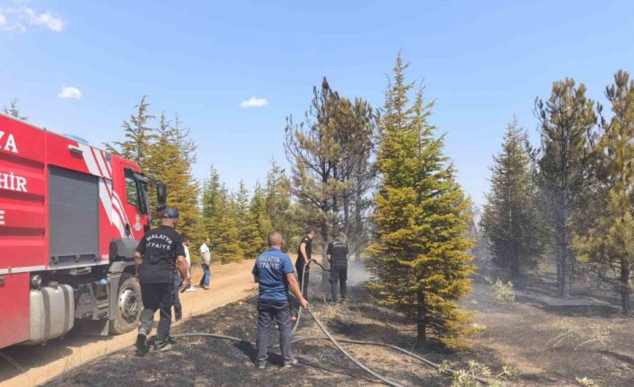 Malatya’daki orman yangını söndürüldü