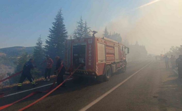 Malatya’daki orman yangınına havadan ve karadan müdahale sürüyor
