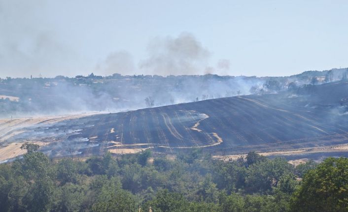 Malkara’da anız yangını 200 dönümlük arazide tahribata yol açtı