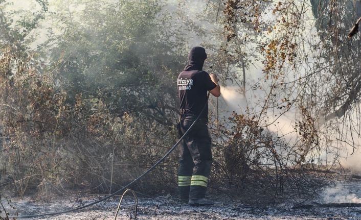 Malkara’da ormana sıçrayan anız yangını kontrol altına alındı