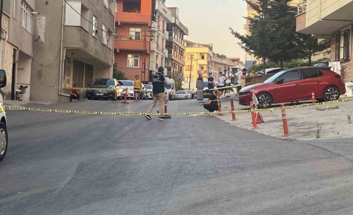 Maltepe’de kamyonetin çarptığı kadın hayatını kaybetti, kaçan şoför yakalandı