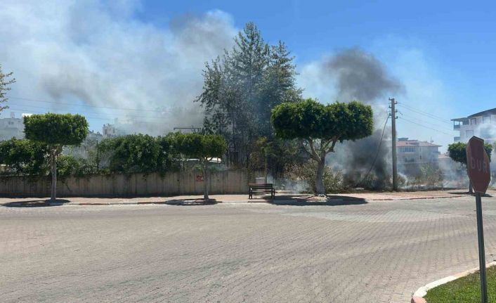 Manavgat’ta çıkan çalılık yangını korkuttu